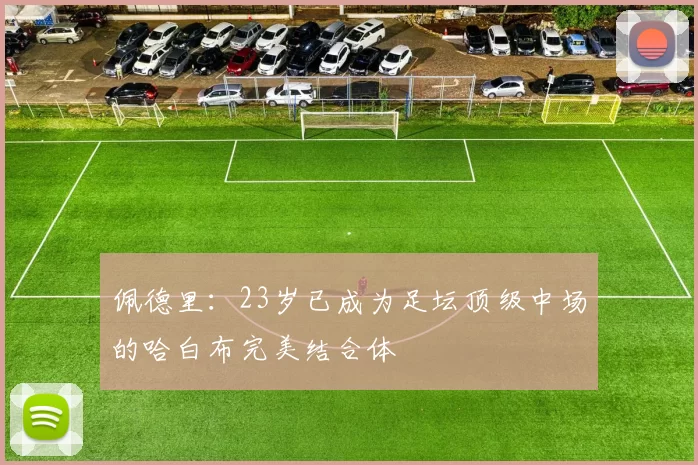 佩德里：23岁已成为足坛顶级中场的哈白布完美结合体
