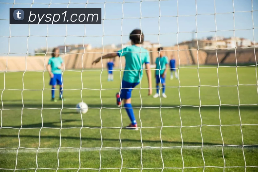 博鱼体育平台生态图