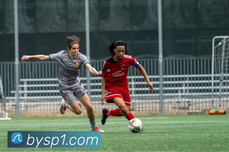 博鱼体育全站App